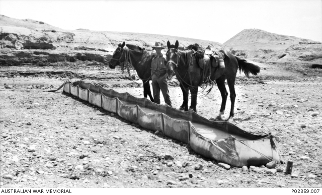 A soldier, possibly a member of the Machine Gun Squadron, 2nd Light Horse Brigade, stands between two horses at a canvas water trough in the desert.