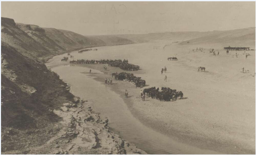 Watering horses at Wadi Ghuzce, Palestine, approximately 1917.