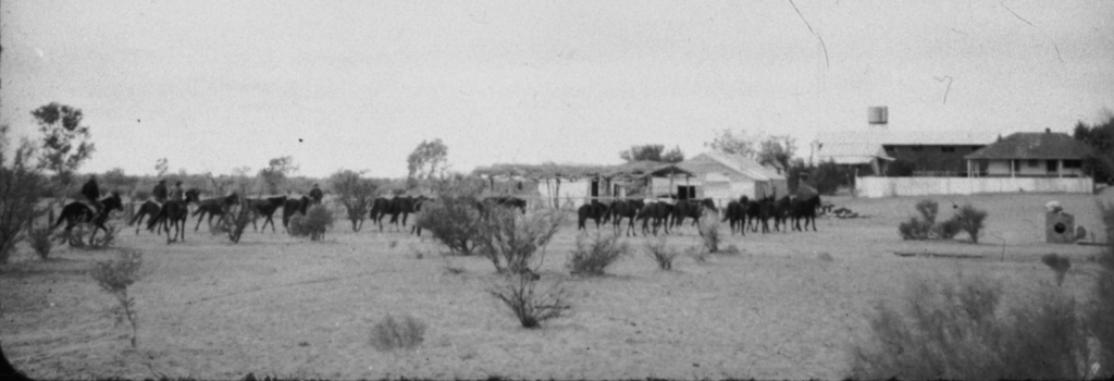 The Homestead, Todmorden, Mount. C. 1948.’ State Library S.A.