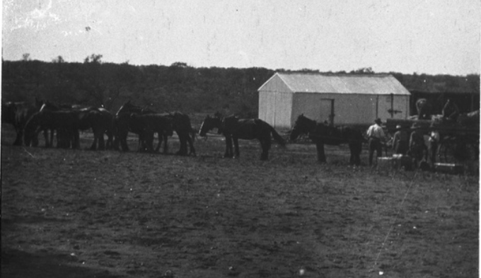 Horse wagon at the homestead’s blacksmith shop at Mount Todmorden. C. 1908 State Library S.A.