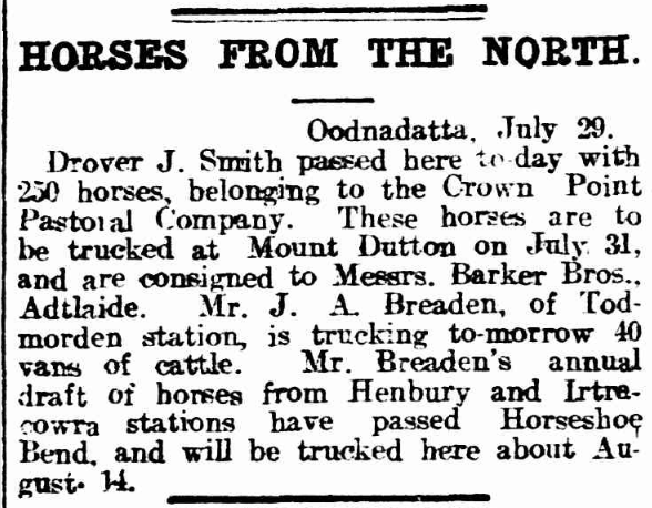 Newspaper article about Todmorden horses