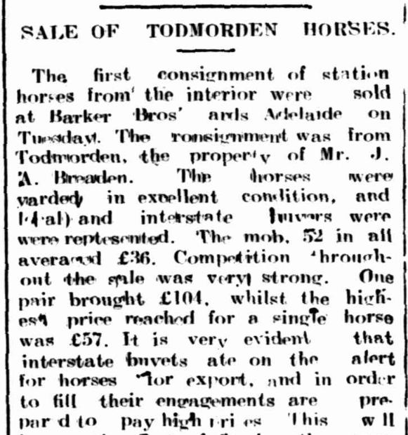 Newspaper article about sale of horses on Todmorden station by Joe Breardon