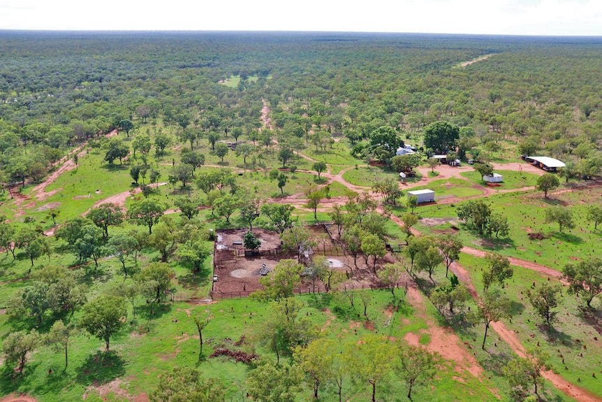 Margaret Downs Station (formerly GoGo Station), Kimberley region Western Australia