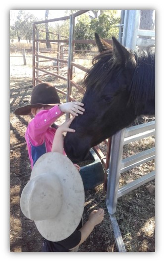 Waler mare Mt Weld Governess with children