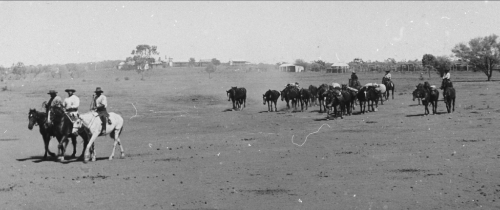 Mustering party leaving the homestead. 1908.'
Todmorden, Mount Collection. 
State Library S.A.
Please be aware there are images of Aboriginal people of the past who would be deceased now, which may cause some people distress.