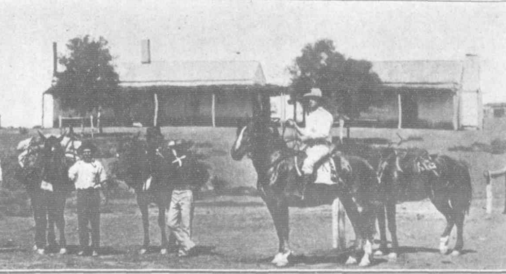 Chronicle (Adelaide) 20th June 1908 - second half of a long photo.