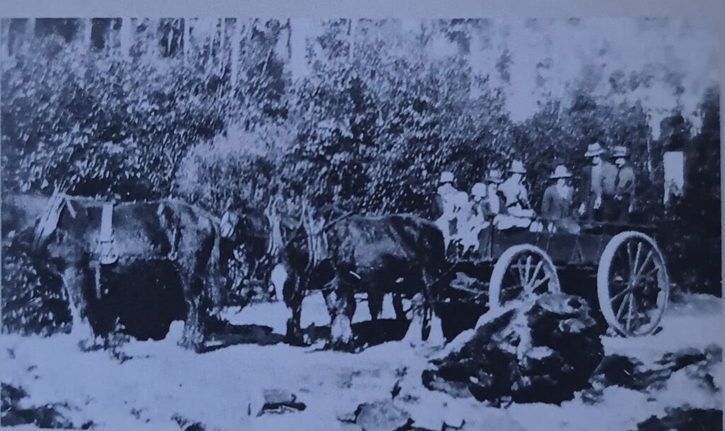 Geissler Family photo taken at Central Forestry Station, image supplied by Fred Williams The residents were getting a ride to meet the boat that would take them to Maryborough.