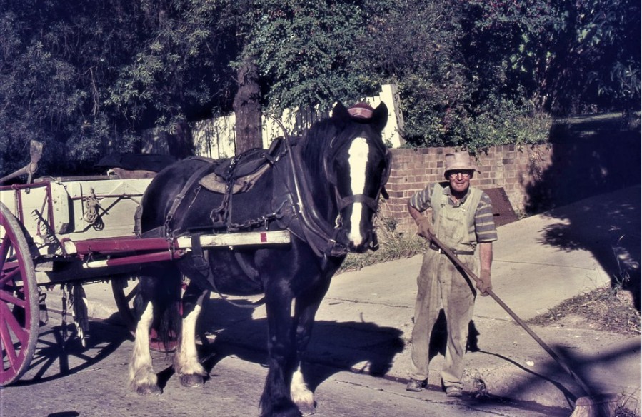 The workman is Bob Dunn and the horse is Peggy.