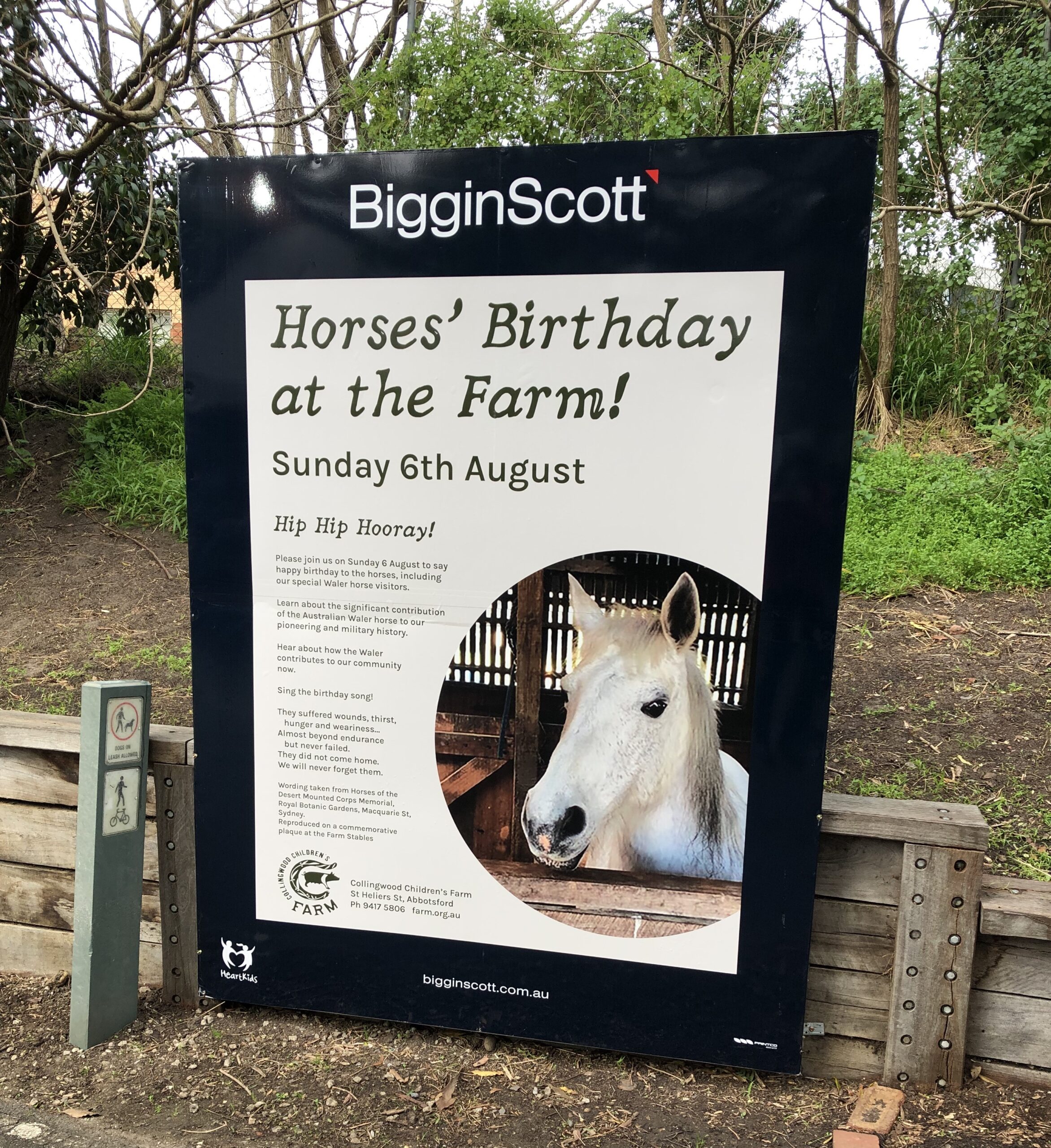 Horses’ Birthday at Collingwood Children’s Farm 2023