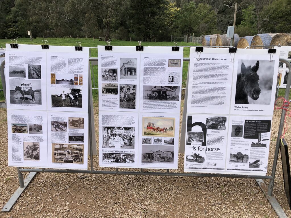 Information boards about Walers for children