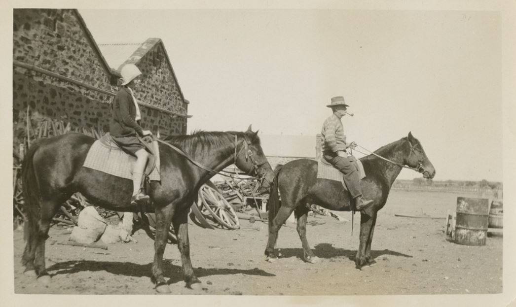 Cordillo Downs Station horses, c. 1922-1935