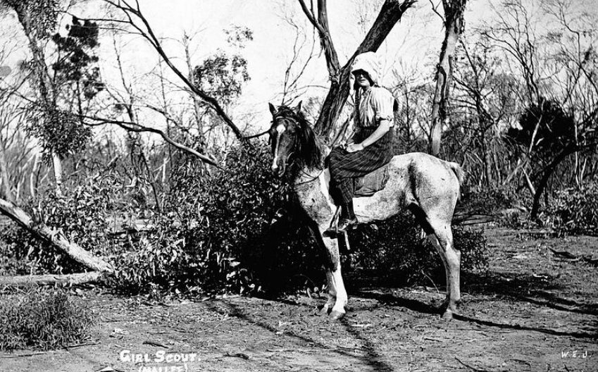 A Girl Scout.... Mallee, Victoria c. 1915. Museums Vic.