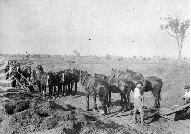 Workers of the Bendigo Country Roads Board constructing a road using horse-drawn scoops, c. 1915