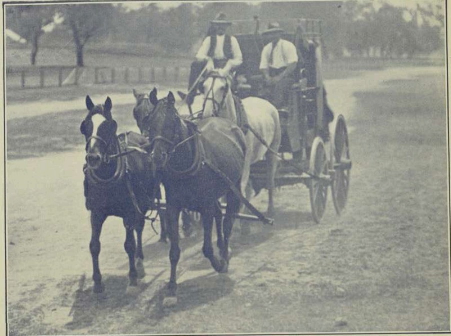 The Mail Coach by W.F. Baldwin, Wallangra, NSW