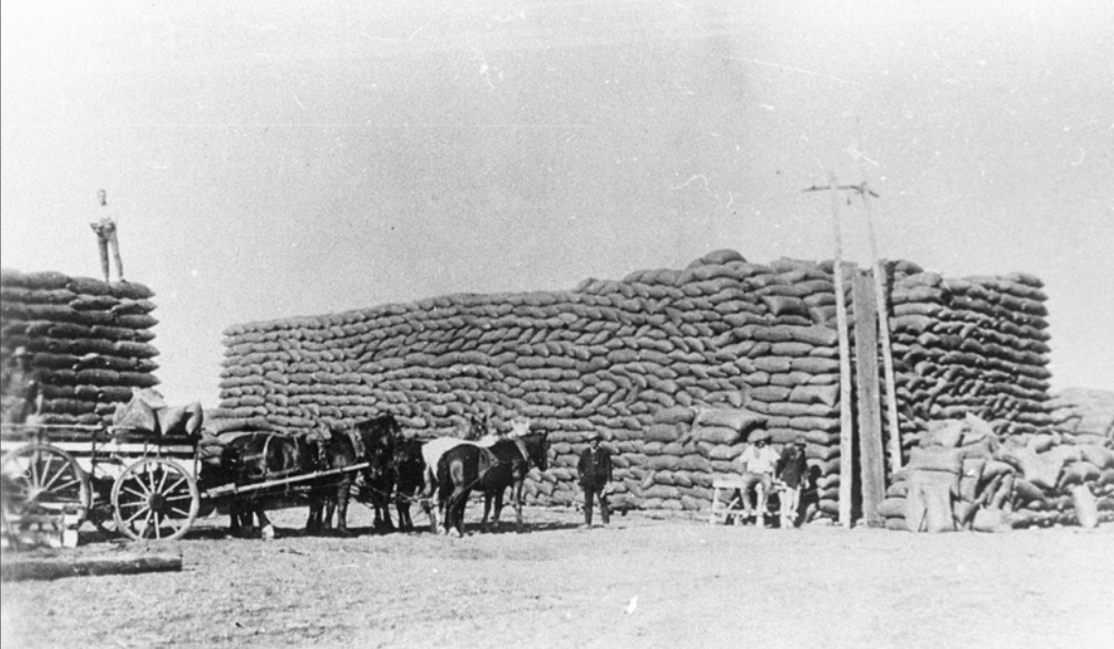 Wheat stack, Loxton railway yard... c. 1915