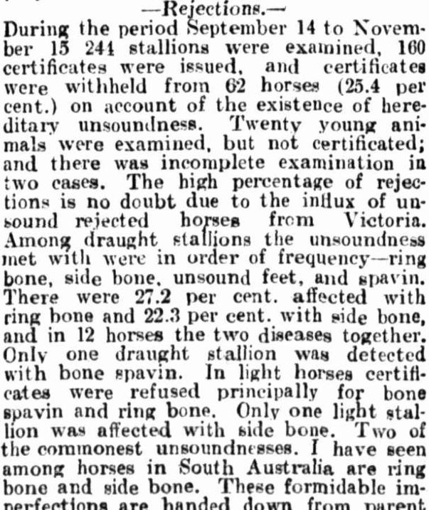 Stallion rejections, newspaper article 1909