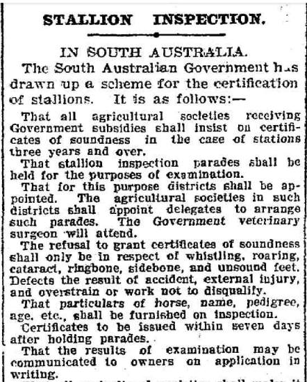 Stallion Inspection scheme in South Australia