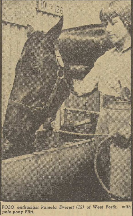 Polo pony Flirt, bred in the Gascoyne region of WA by Dudley Farrar