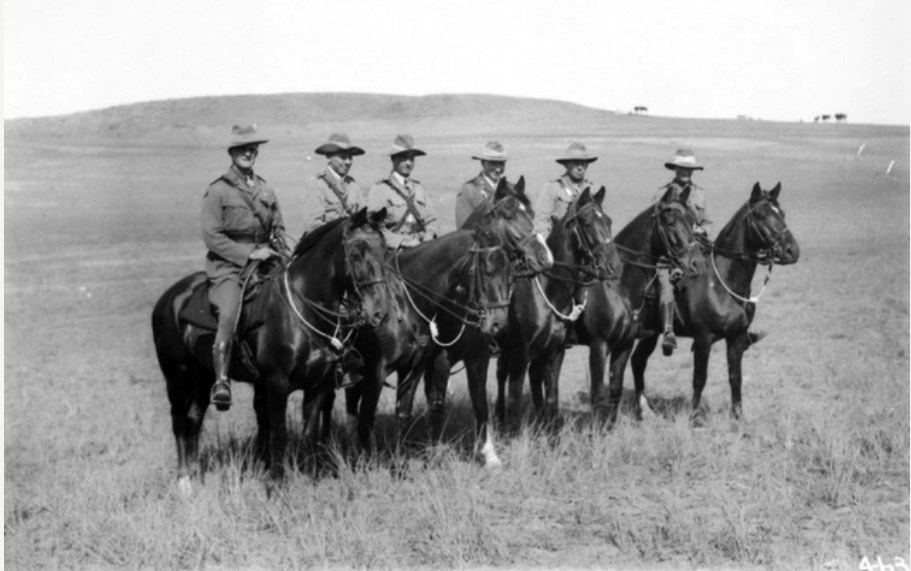 Group portrait of officers of the Machine Gun Squadron of the 2nd Australian Light Horse Brigade on their horses