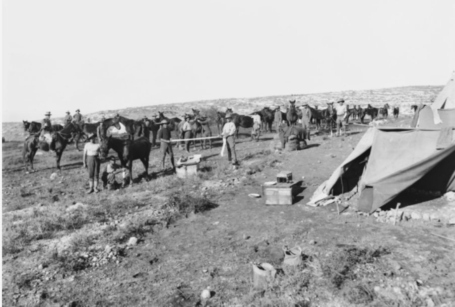 The 9th Australian Mobile Veterinary Section, attached to the 4th Australian Light Horse Brigade, in camp, Palestine