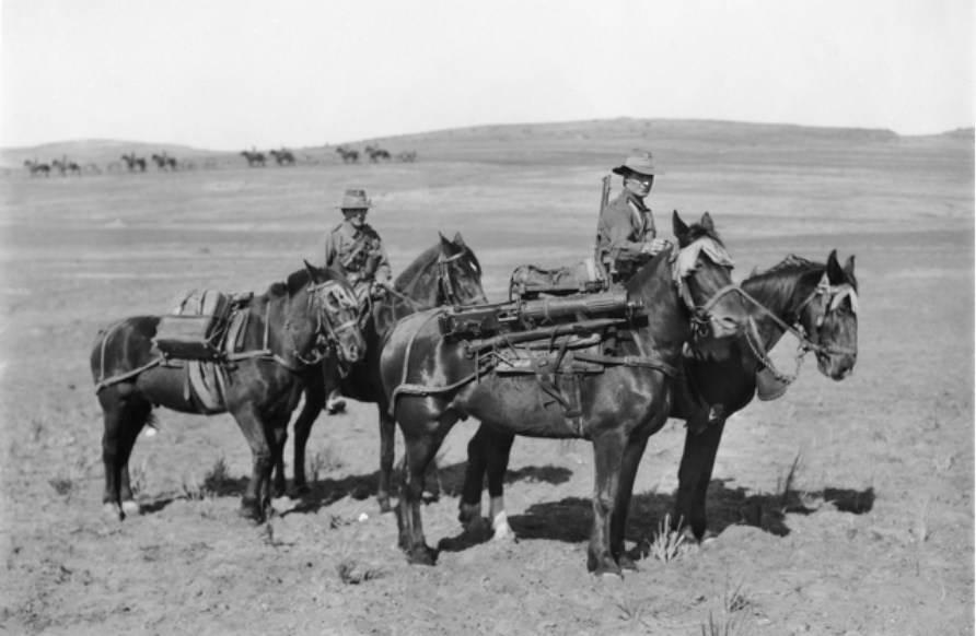 Pack horses with Vickers machine guns and ammunition of the 2nd Australian Light Horse Brigade, Palestine