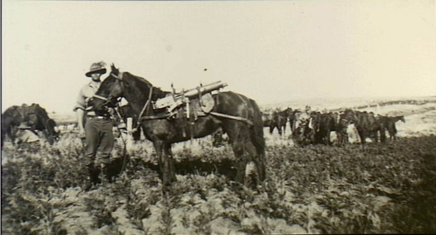 An unidentified Australian member of, probably, a Light Horse Machine Gun Squadron