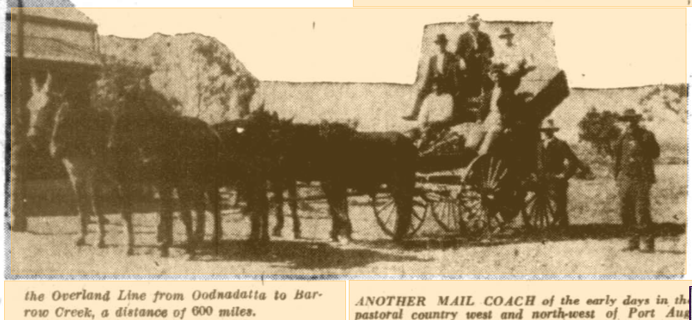 The Mail (Adelaide) 29th November 1932 mule team