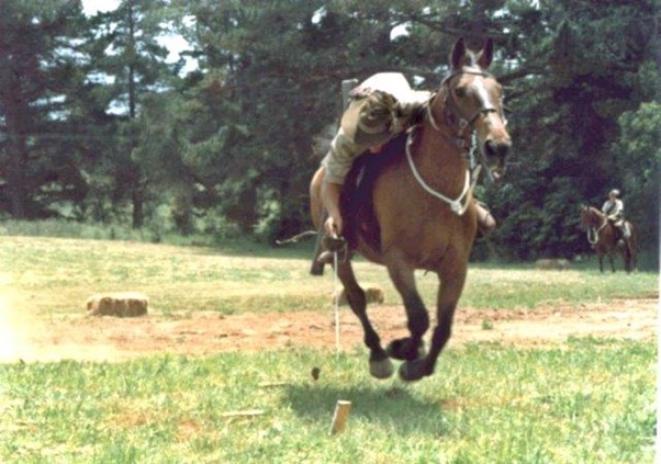 Peter Fischer demonstrating tent-pegging on a Waler horse