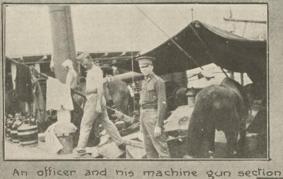 Loading horses on warship Page 21 of the Queenslander Pictorial, supplement to The Queenslander, 30 January, 1915.