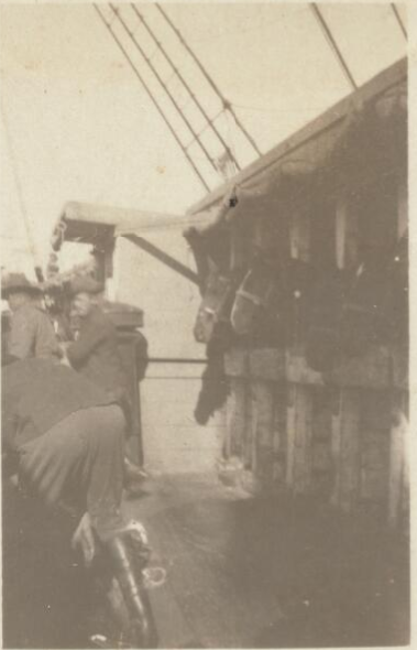 'Horses and soldiers on board the troop transport ship HMAT Wiltshire, 1914 / W.A.S. Dunlop.'