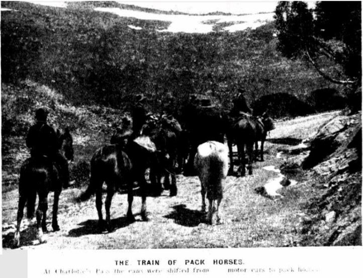 Trout being transported by horse