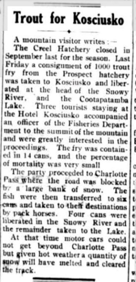 Trout by horseback newspaper article