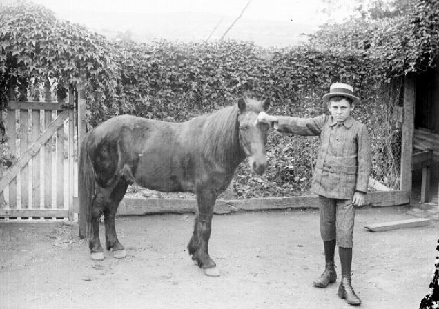 Boy and pony. Photo by Ralph Snowball (1849-1925) Snowball Collection, Newcastle Region Library