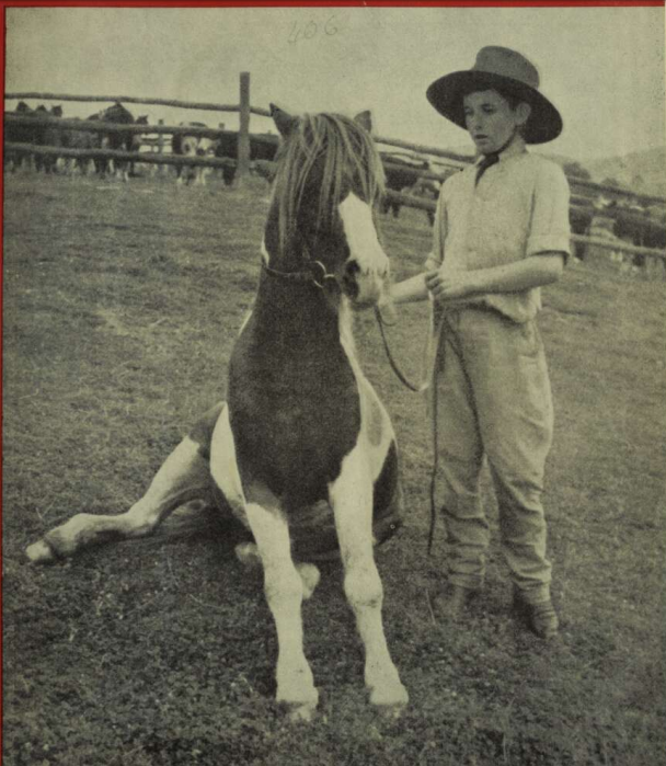 Murray Pierce, aged twelve, has trained his pony to do numerous tricks. This photograph was taken by J. Thorn at a rodeo held recently at Cudgewa, about eight miles from Corryong, Victoria, 1946.