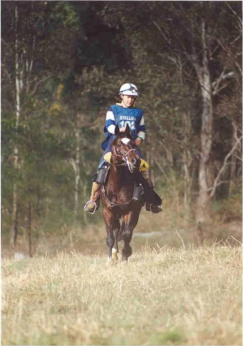 Waler stallion Brigadier in endurance riding competition