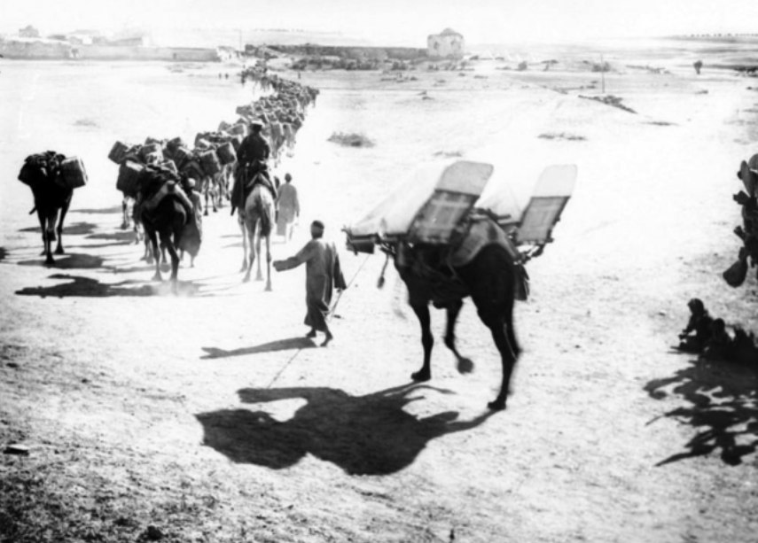 A camel transport carrying tibbin (fodder). The cacolet camel in the rear serves the purpose of an ambulance for the wounded. Ottoman Empire: Palestine, Ramleh.' WW1 AWM