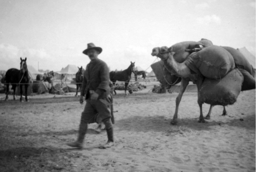 'Camel with a light load of Tibbin.' Phillip Schuler photo AWM