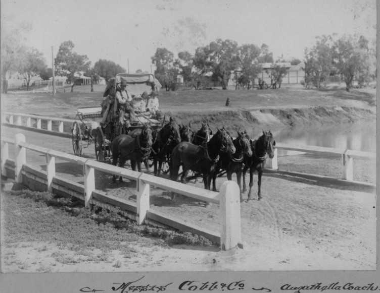 'Messrs Cobb & Co., Augathella coach, 1902-1904.' State Library Qld