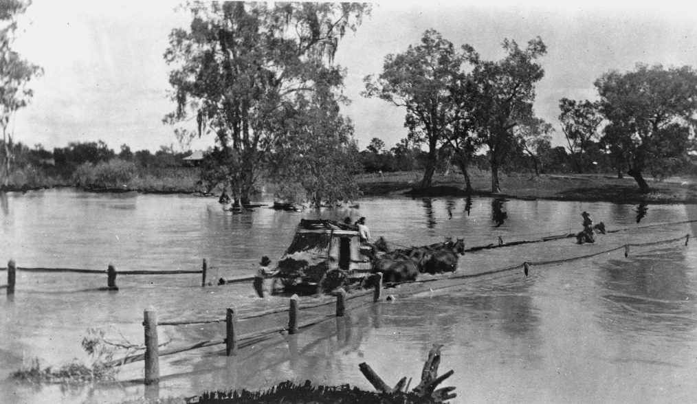 'Cobb & Co. coach crossing the swollen Balonne River, Surat, 1914.' State Library Qld