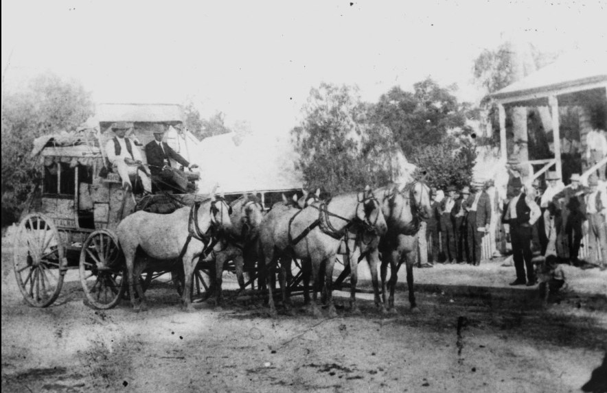 Cobb & Co. coach arriving in St George, Queensland in 1910. State Library Qld