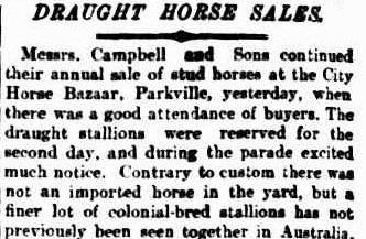Draught Horse Sales, The Argus, Thursday 6 August 1903
