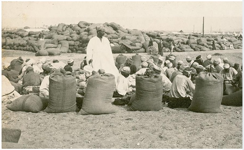 'Egyptians crushing barley for horse feed, Mena camp. 1914.' From an album of Major Richard Casey. National Archives of Australia.