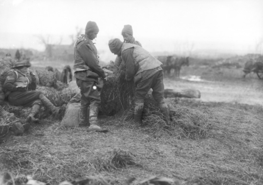 'Australian artillery drivers filling up fodder nets for their horses at a camp between Montauban and Mametz. France: Picardie, Somme, Albert Combles Area. December 1916.' AWM
