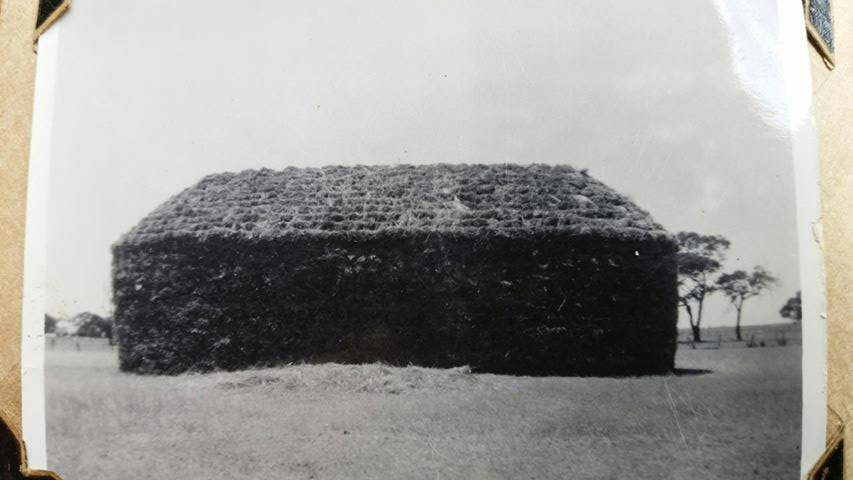 Janice Merrett family photo of a haystack her father and his brothers made. It was measured and estimated to be 200 tonnes.