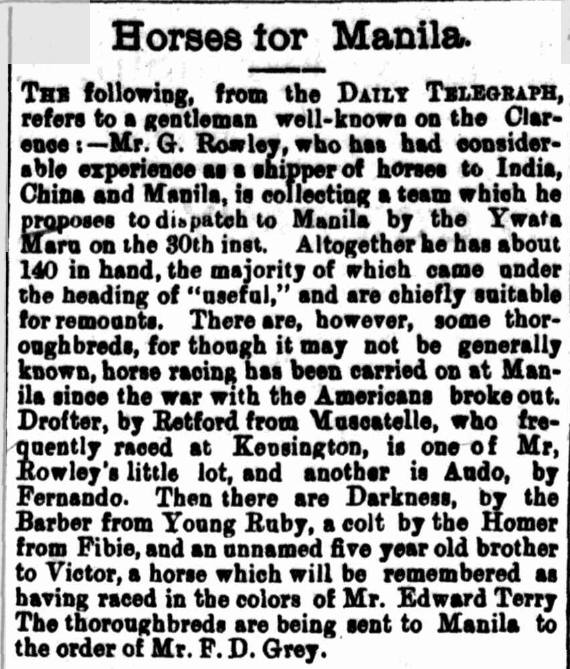 Clarence River Advocate, 11th August 1899 Just to show we were trading immediately after the Americans took over, mostly remount types but also some racehorses.