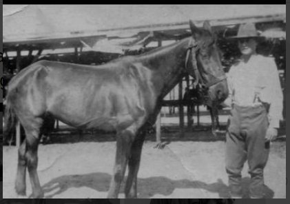 James Harold Gleeson of the 4th LH and his horse Tommy. Pat Gleeson private collection.