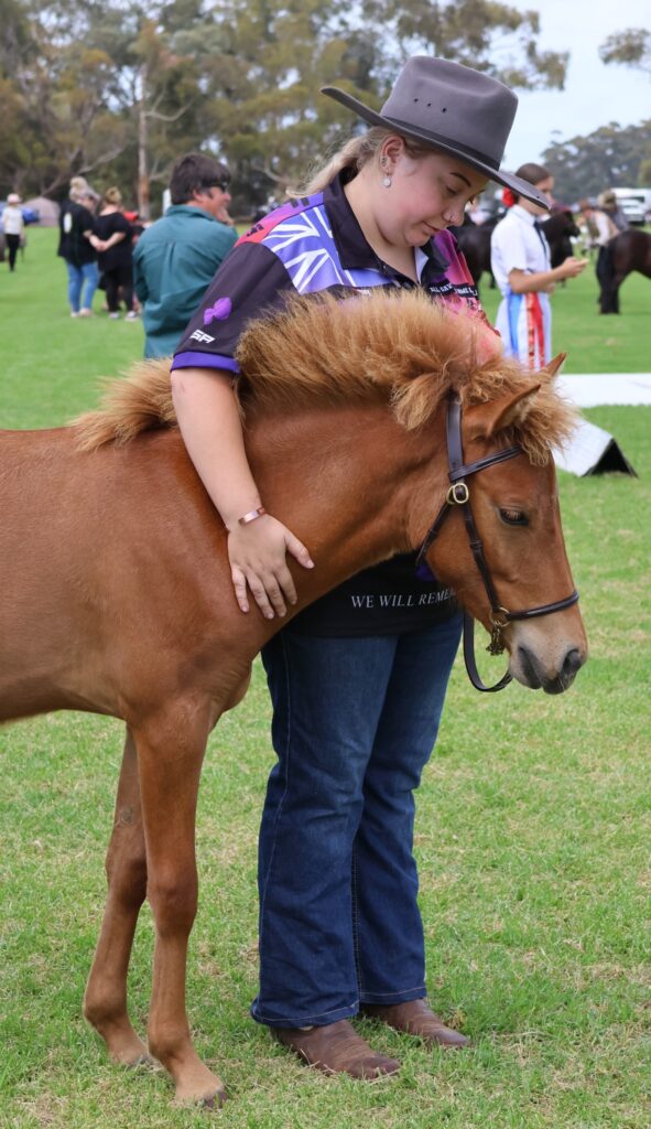 Timor Pony filly foal Ningrum waiting her turn in competition for Supreme Champion of Rare Breeds at the 2024 Summer Royal Show in Melbourne