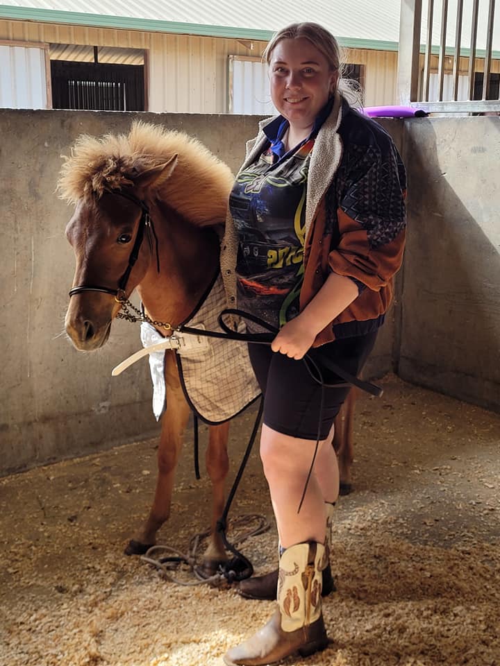 Timor Pony seven month old filly foal Ningrum and handler Susie in the stable at the Victorian State Equestrian Centre in Werribee, Melbourne Victoria January 2024