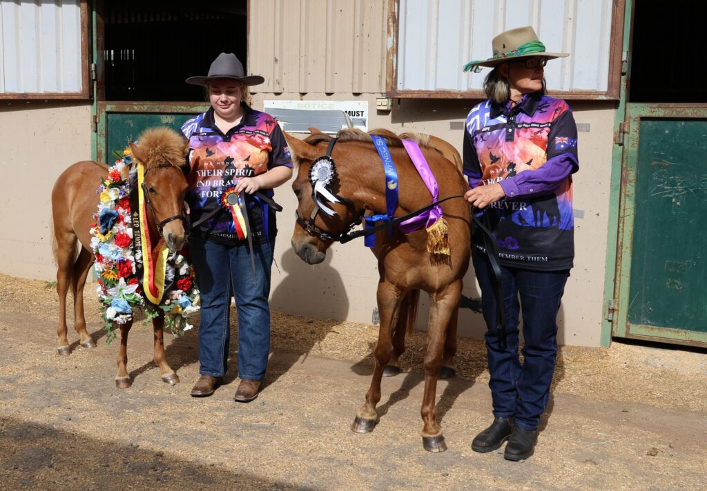 Timor Pony seven month old filly foal Nigrum with winning garland and dam Indira looking on proudly, 2024 Summer Royal Show in Melbourne