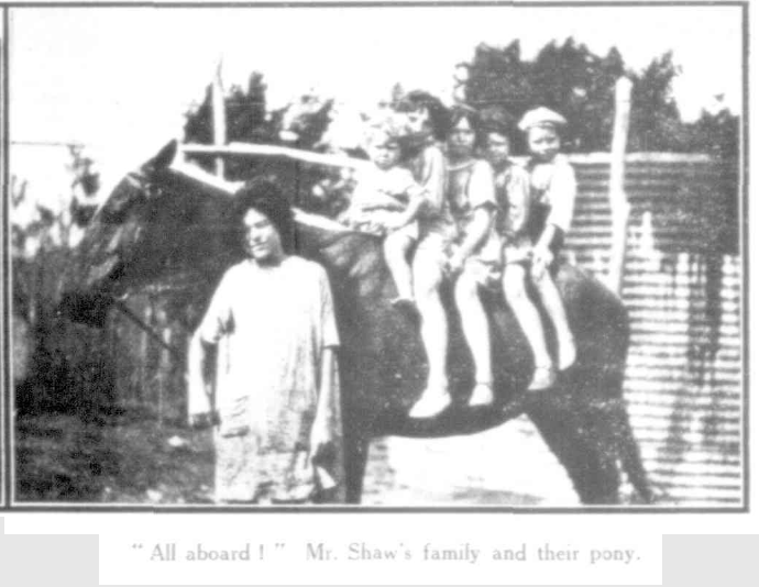 In The Callide Valley: Mr Shaws's family and their pony, Capricornian Pictorial, 15 November 1928